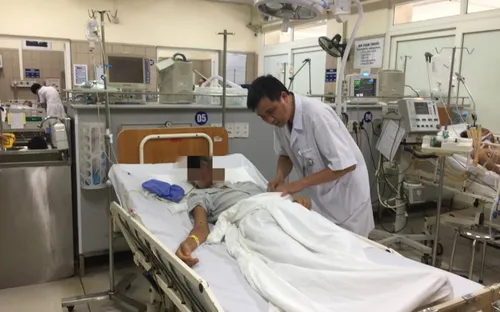 Hậu họa không ngờ sau khi bị ong vò vẽ tấn công