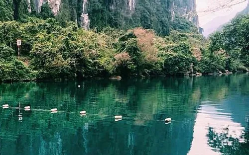 Hoàn thiện đề án thành lập Khu bảo tồn thiên nhiên Động Châu - Khe Nước Trong