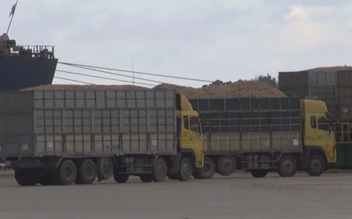 Quảng Ngãi: Xử lý ô tô chở gỗ dăm lộng hành trên quốc lộ