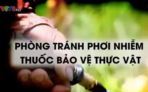Tiêu điểm: Phòng tránh phơi nhiễm thuốc bảo vệ thực vật