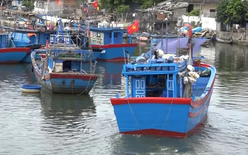Quảng Ngãi nỗ lực loại bỏ tàu đánh bắt gần bờ