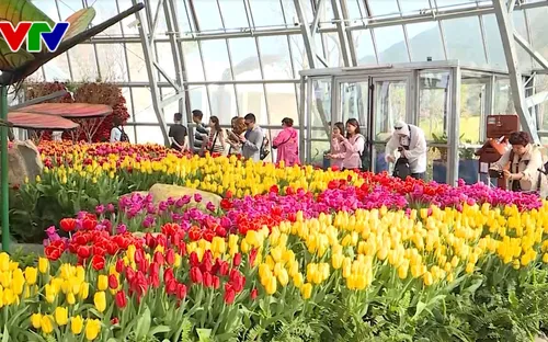 Hội thảo quốc tế về du lịch Khánh Hòa: Cần liên kết vùng để phát triển