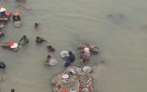 Nguy cơ tai nạn mưu sinh nơi mỏ vàng Quảng Nam