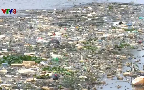 Bức bối rác thải nông nghiệp ở Đà Lạt