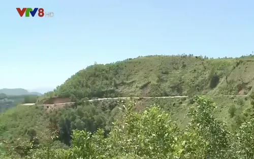 Xã vùng cao Quảng Ngãi không còn bị cô lập