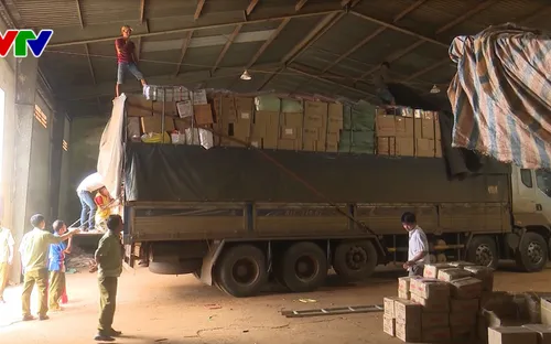 Đắk Nông bắt giữ hơn 500 kg táo khô, xí muội không rõ nguồn gốc