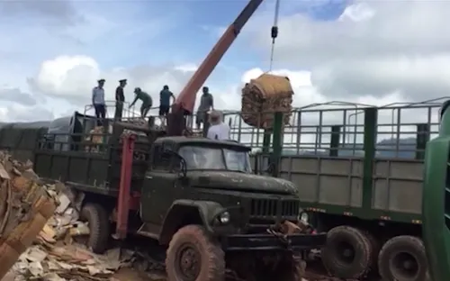 Bộ đội biên phòng Quảng Trị bắt lượng lớn gỗ lậu