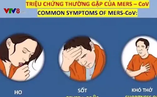 Đà Nẵng chủ động ngăn ngừa virus MERS
