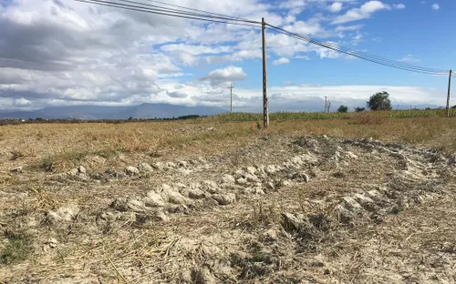 Ổn định cuộc sống người dân trong thời tiết khô hạn bất thường