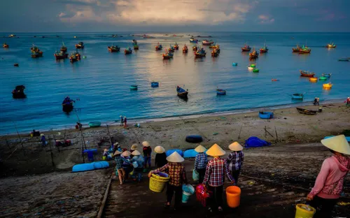 Đi chợ cá buổi sớm mai