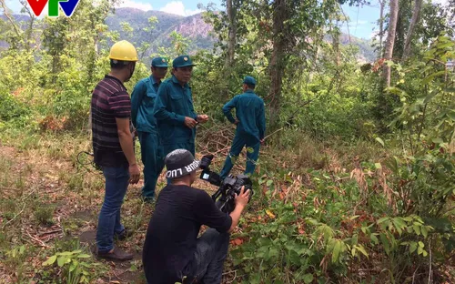 Lâm tặc manh động, Khánh Hoà tăng cường bảo vệ rừng căm xe