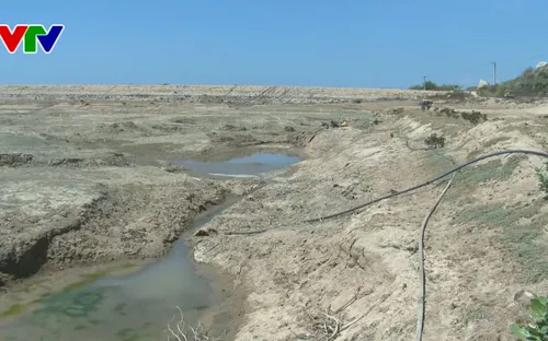Ninh Thuận: Khô hạn kéo dài giữa.. mùa mưa