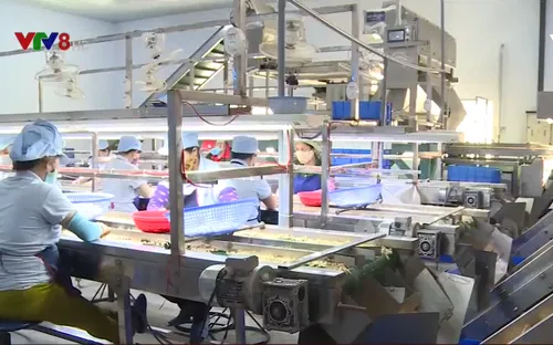 Cảnh báo tình trạng giả danh cán bộ thuế gây nhiễu doanh nghiệp