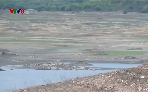 Điều tiết nước hợp lý - yêu cầu bức bách ở vùng hạn