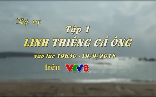 Ký sự "Linh thiêng cá ông" (Tập 01, 19h30 thứ Tư, 19/9) trên VTV8