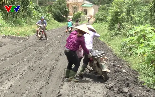 Lâm Đồng: Đường lầy hơn ruộng - nỗi khổ của người dân