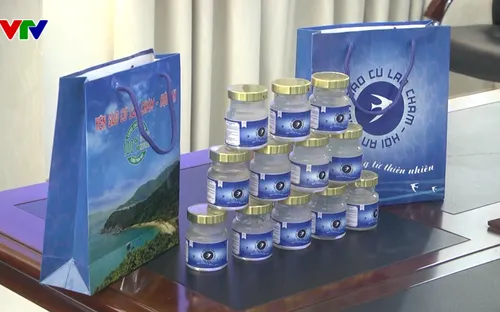 Chế biến yến sào Cù Lao Chàm theo phương thức truyền thống