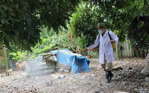 Cơ bản đã khống chế được các dịch bệnh gia súc, gia cầm