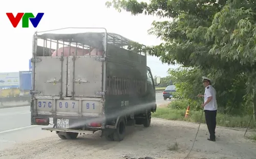 Hà Tĩnh: Tập trung ngăn chặn dịch tả lợn châu Phi