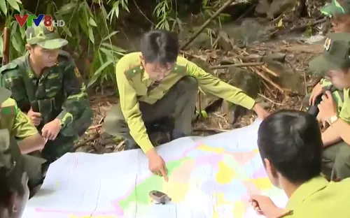 Biên phòng, Kiểm lâm phối hợp bảo vệ rừng vùng biên