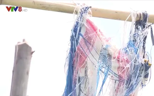 Nông dân điêu đứng khi hợp đồng bị phá vỡ