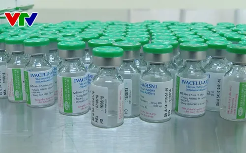 Hai vắc-xin phòng cúm mùa và cúm A/H5N1 của Việt Nam an toàn
