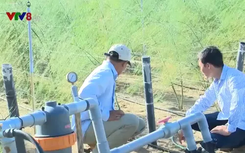 Xây dựng nền nông nghiệp sa mạc