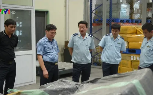 Hải quan bắt giữ gần 1 tấn ngà voi và vảy tê tê