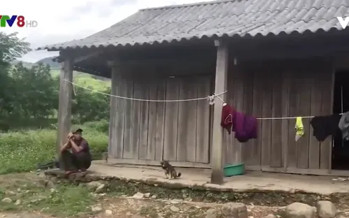 Nguy cơ phá sản làng thanh niên lập nghiệp