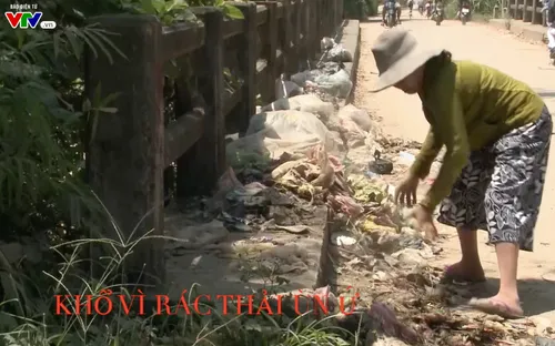 Khổ vì rác thải ùn ứ