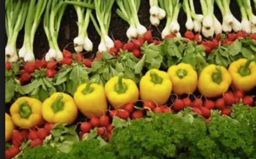 Nâng giá trị rau từ màu sắc