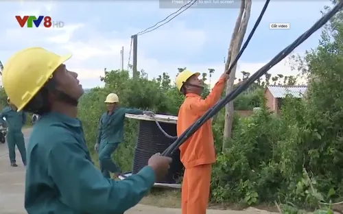 Cải tạo hệ thống lưới điện xuống cấp trước mùa mưa bão