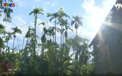 "Yên ả" từ câu chuyện kể của những ngôi làng chân đèo Quán Cau, Phú Yên