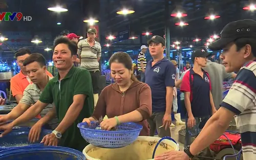 Đảm bảo an toàn thực phẩm dịp Tết tại các chợ đầu mối TP.HCM