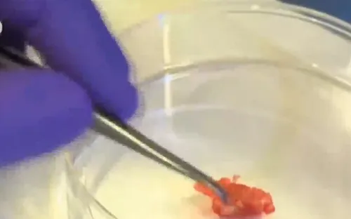 Sáng chế mới: Thịt nhân tạo