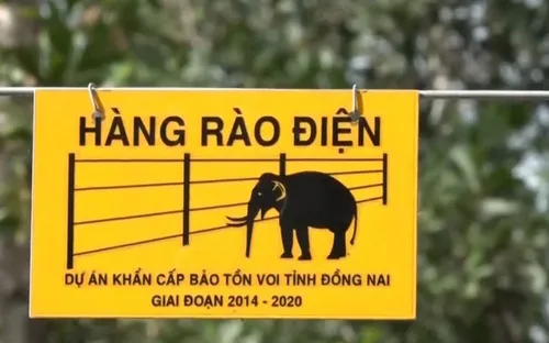 Hàng rào điện ngăn voi rừng đầu tiên của Việt Nam