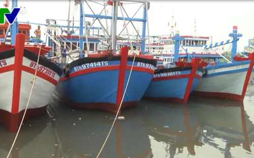 Phần lớn tàu thuyền Bình Thuận nằm ngoài vùng nguy hiểm của bão số 1