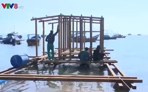 Làng biển hồi sinh sau bão số 12