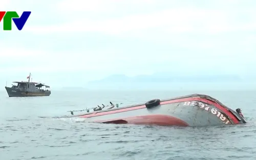 Tàu hàng đâm chìm tàu cá, 15 ngư dân được cứu sống