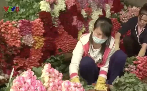 Tháo gỡ điểm nghẽn trong xuất khẩu hoa Đà Lạt