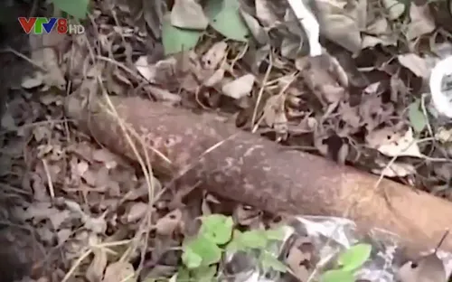 [Tiêu điểm] Hiểm nguy từ các điểm kinh doanh vật liệu nổ