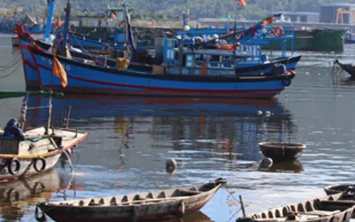 Nỗ lực hạn chế ô nhiễm môi trường tại cảng cá lớn nhất miền Trung