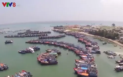 Tiếp tục tuyên truyền ngăn chặn khai thác hải sản bất hợp pháp
