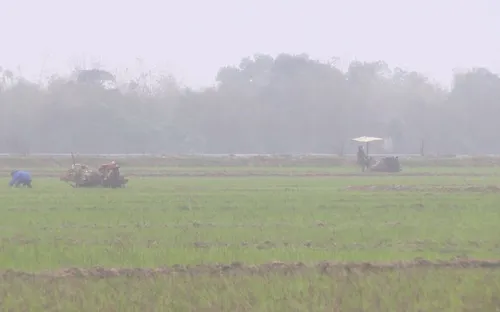 Hàng ngàn ha vụ Đông Xuân ở Quảng Nam chưa thể sản xuất