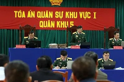 Điều tra bổ sung vụ phá rừng pơmu ở Quảng Nam