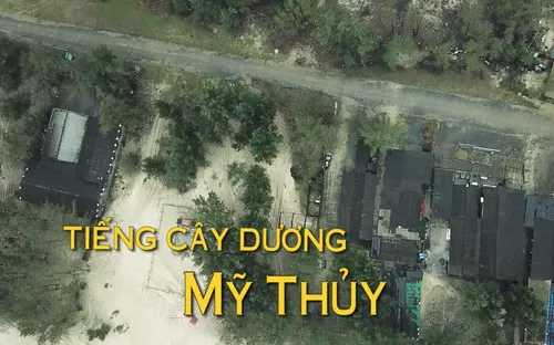 Chuyện Biển Chuyện Người: Tiếng cây dương liễu ở Mỹ Thuỷ