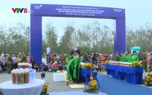 Khởi công xây dựng trang trại bò sữa công nghệ cao đầu tiên tại Phú Yên