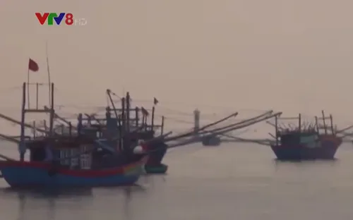 Các tổ nghiệp đoàn đoàn nghề cá Quảng Ngãi liên kết