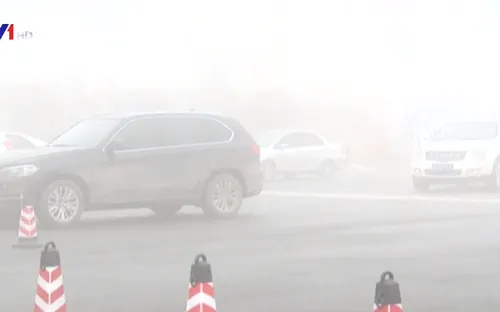 Sương mù dày đặc ở Trung Quốc, 20 đường cao tốc phải đóng cửa