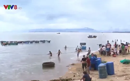 [Tiêu điểm] Hỗ trợ nguồn vốn khôi phục sản xuất sau bão số 12 tại Nam Trung Bộ